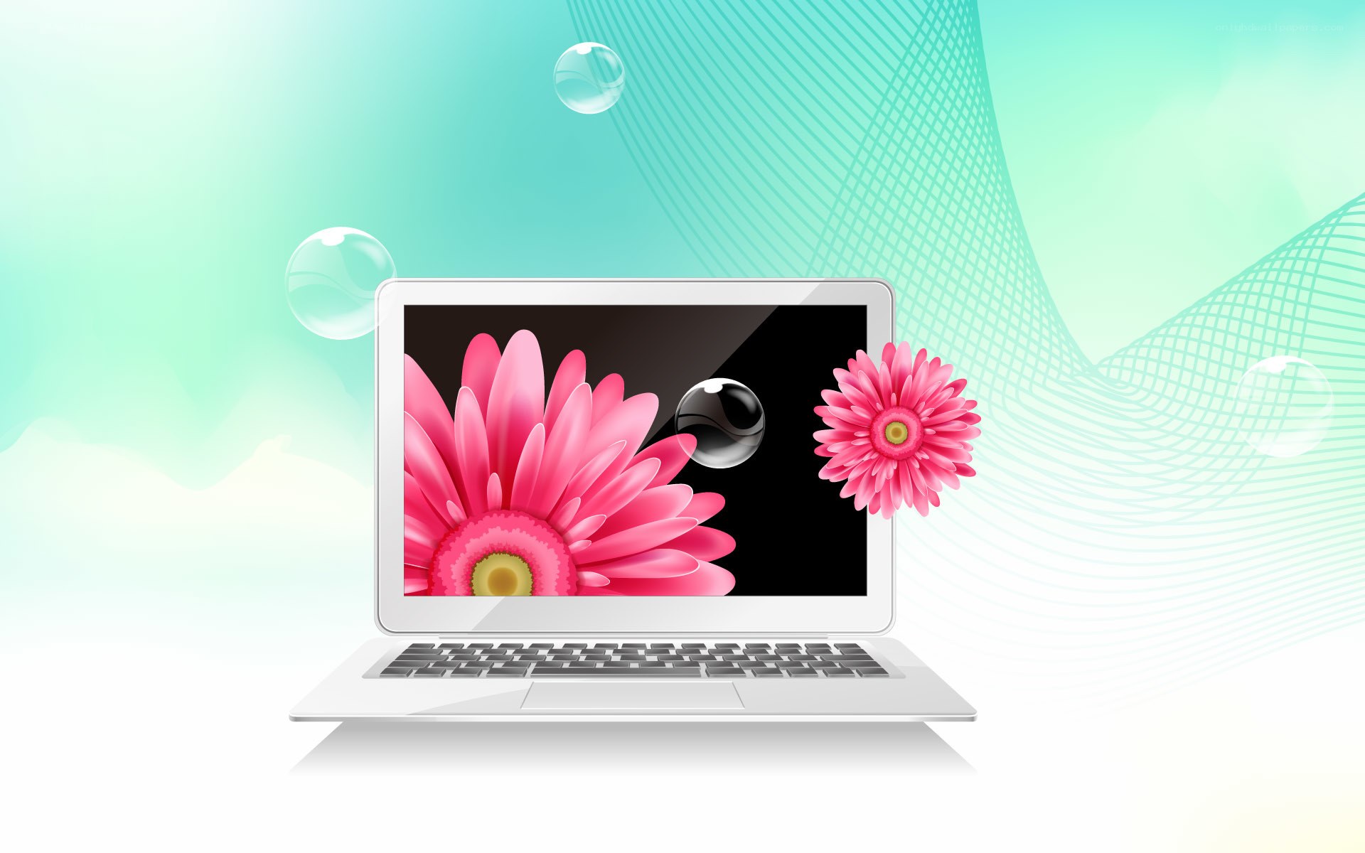 laptop with pink flowers
