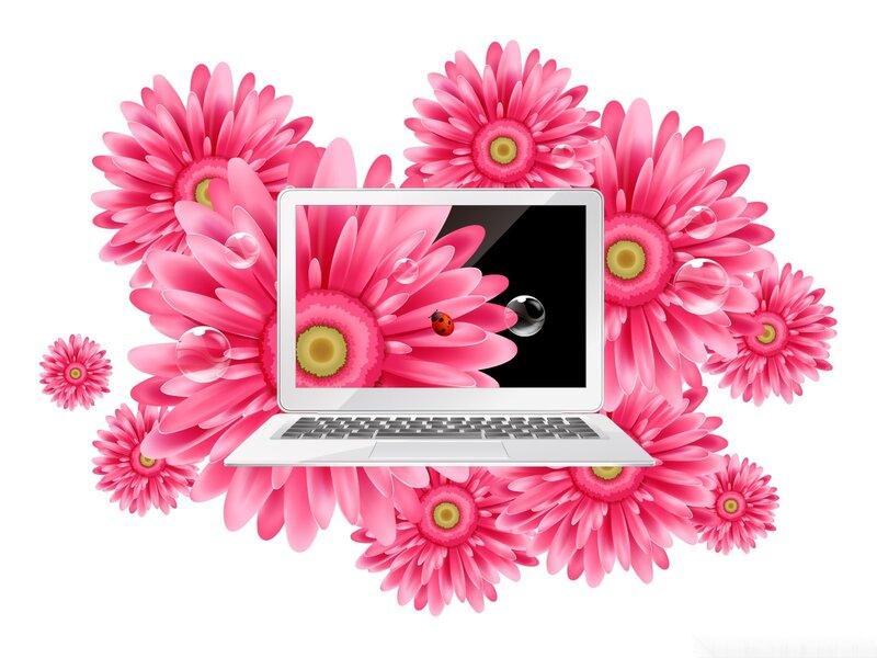 Laptop with Pink Flowers — Playful