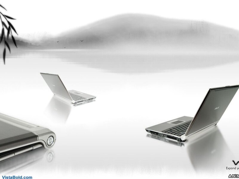 Laptops in a serene landscape