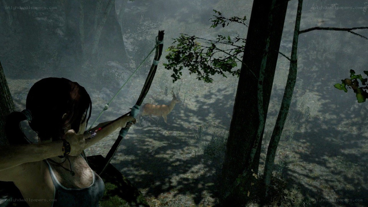 Lara aiming bow at deer
