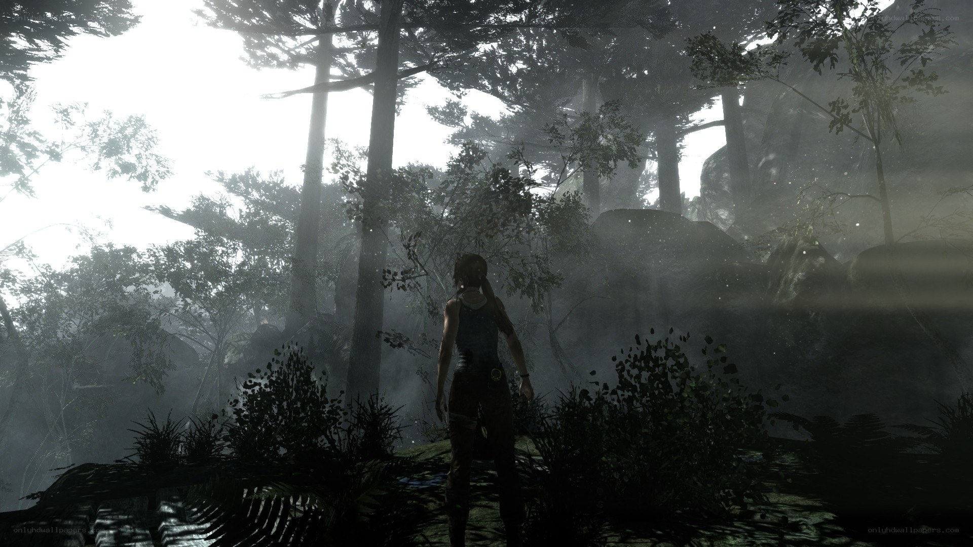 Lara Croft in a misty forest