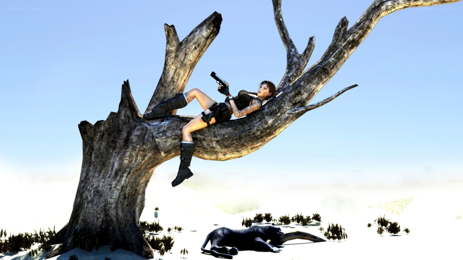 Lara Croft in desert tree