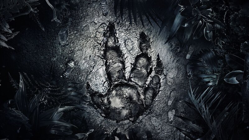 Large Animal Footprint