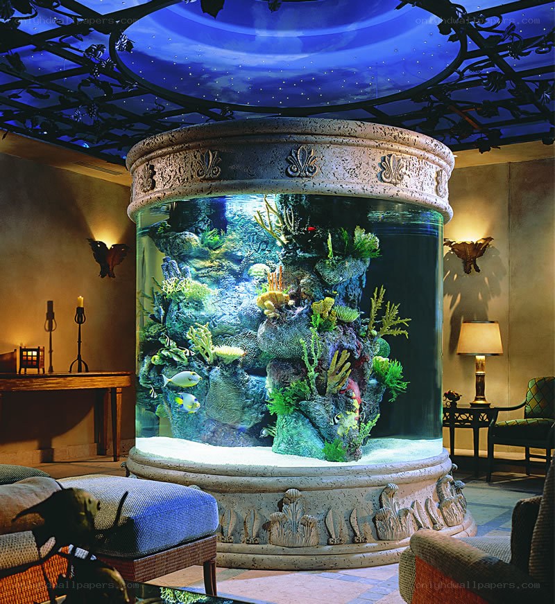 Large aquarium in elegant room