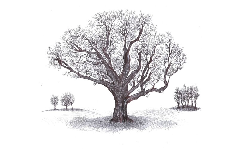 Large Bare Tree — Black