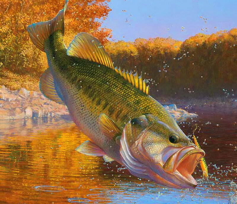 Large Bass Fish — Green