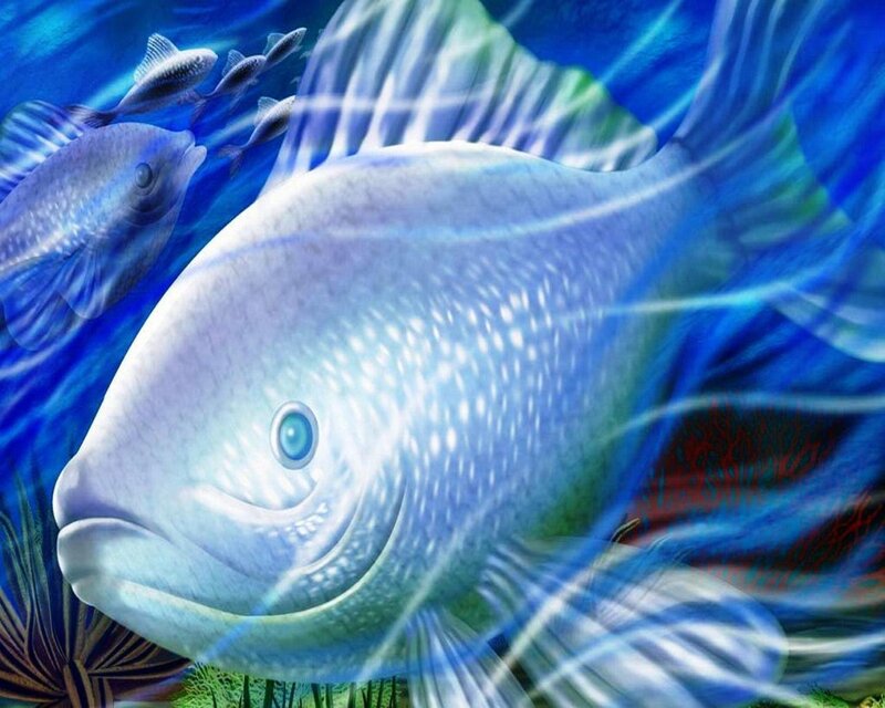Large Blue Fish