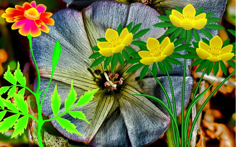 Large Blue Flower