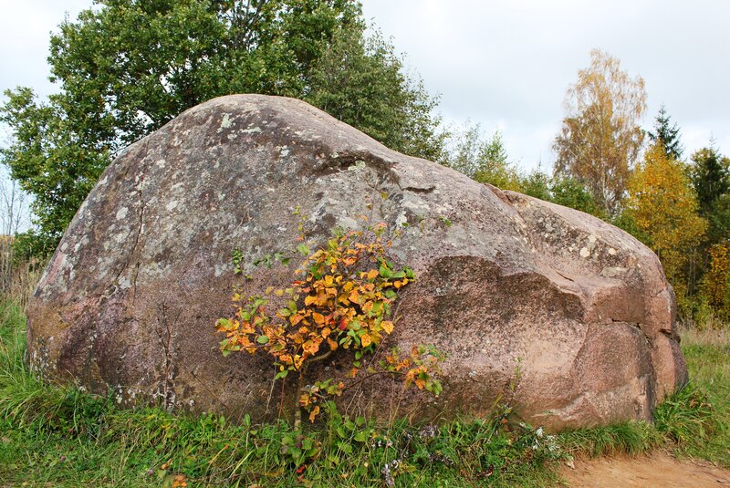 Large Boulder in Field — Brown
