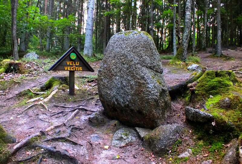 Large Boulder in Forest — Green, Serene