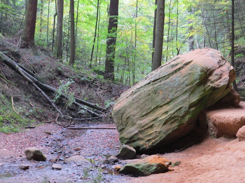 Large Boulder in Forest — Green