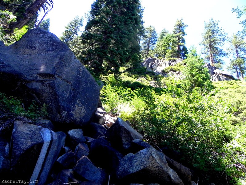 Large Boulder in Forest