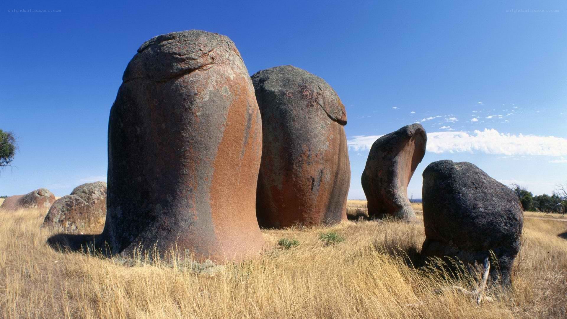 Large boulders in a field
