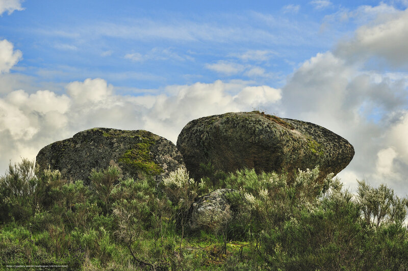 Large boulders in green landscape