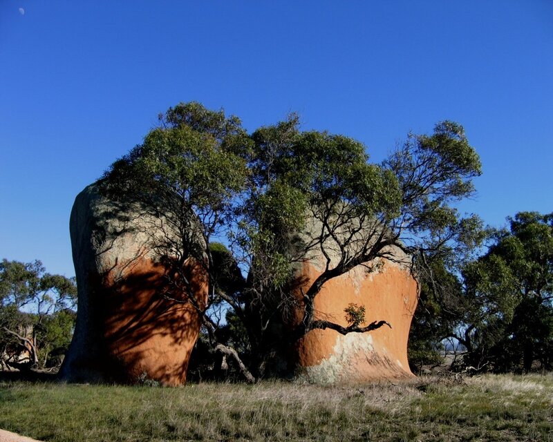 Large boulders with trees
