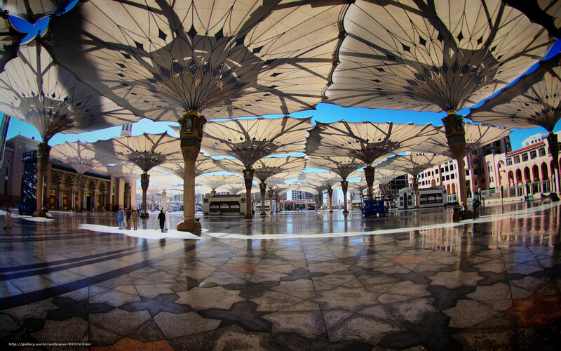 Large canopy structures in a courtyard