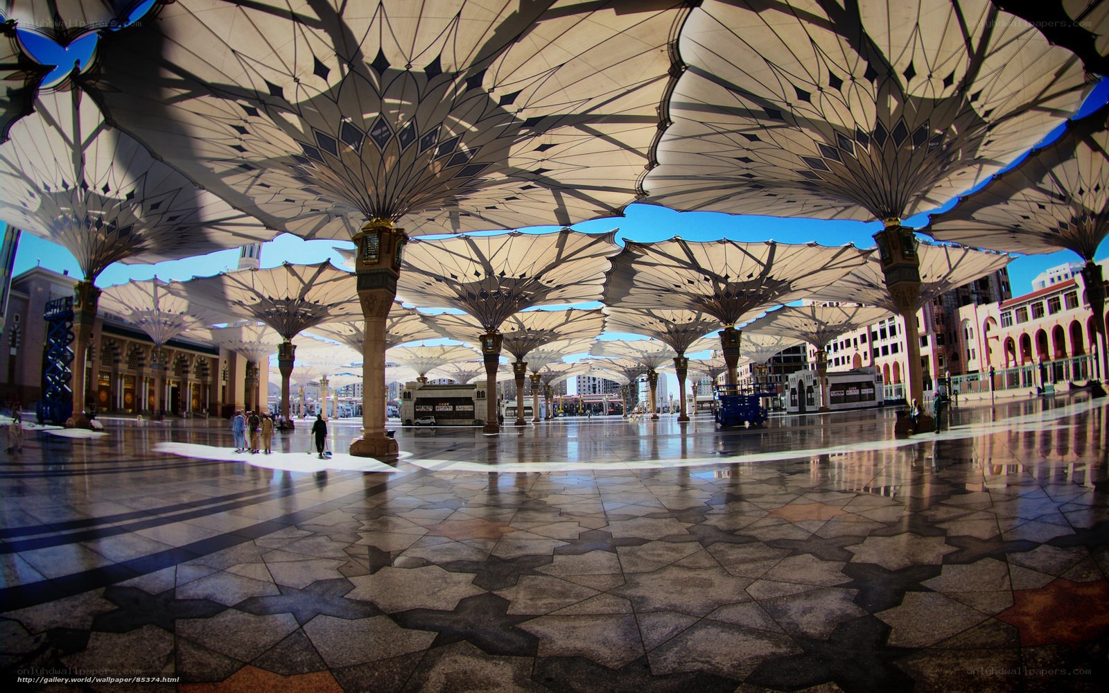 Large canopy structures in a courtyard