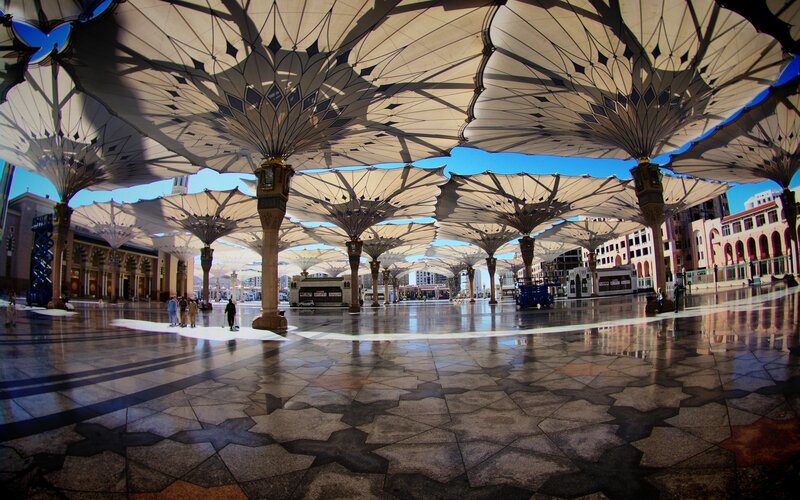 Large canopy structures in a plaza