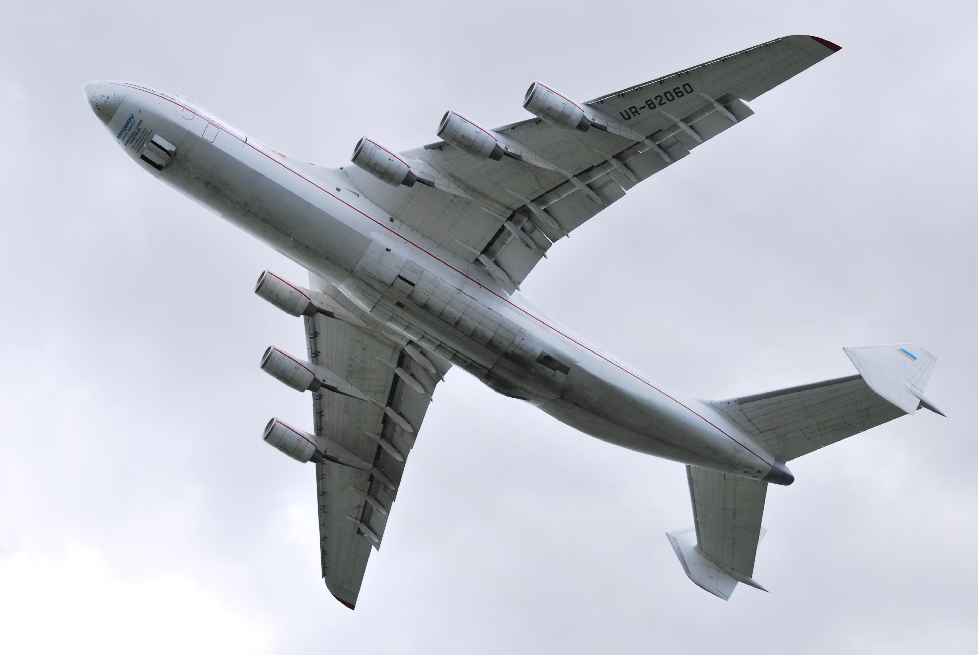 Large cargo aircraft in flight