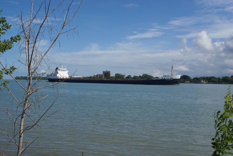 Large Cargo Ship — Blue, Calm, Afternoon