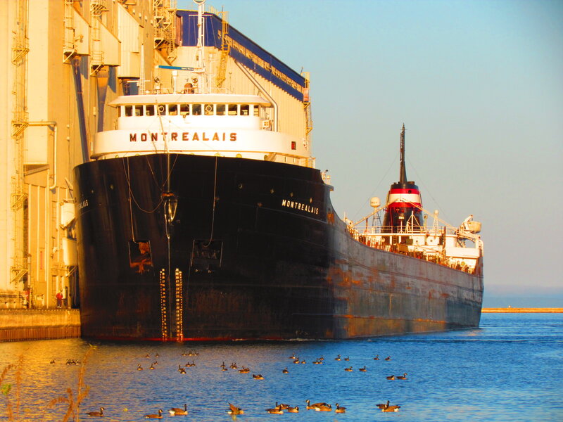 Large Cargo Ship — Blue, Serene