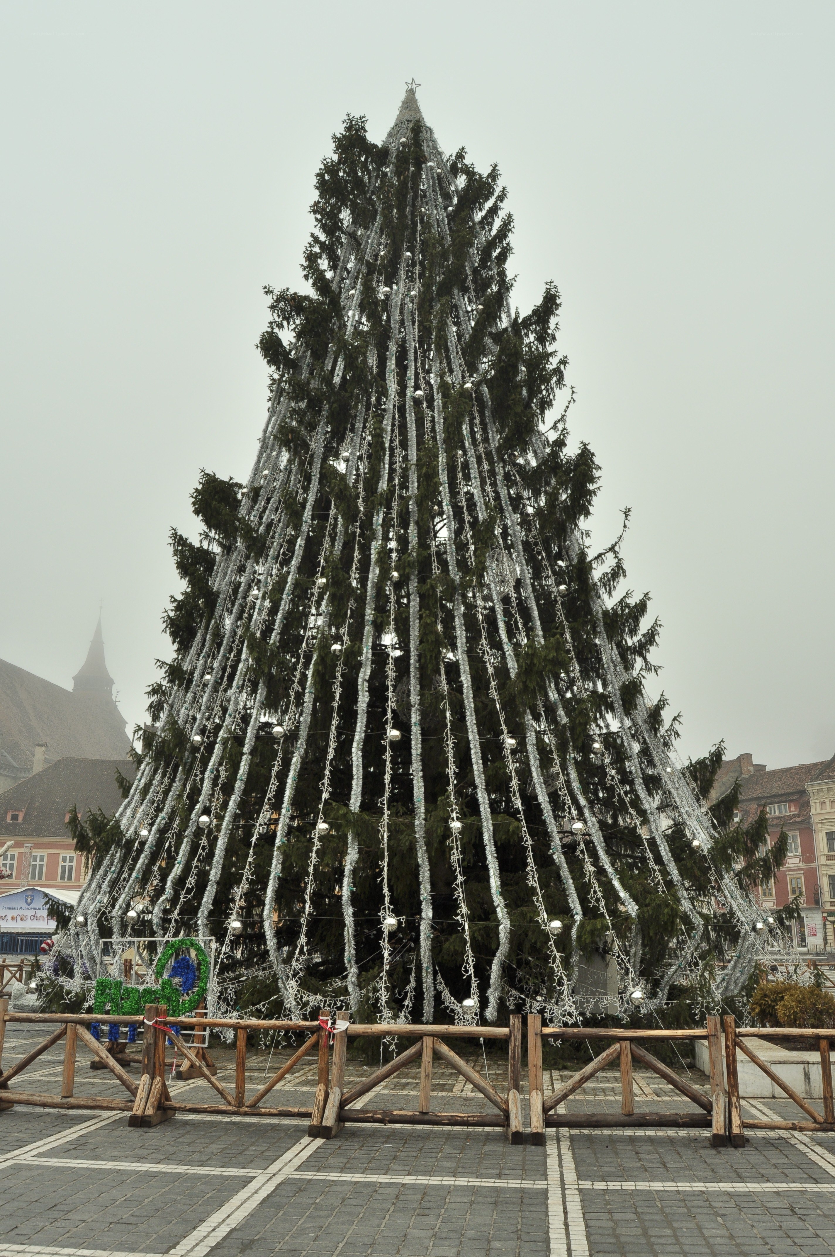 Large Christmas tree in town square