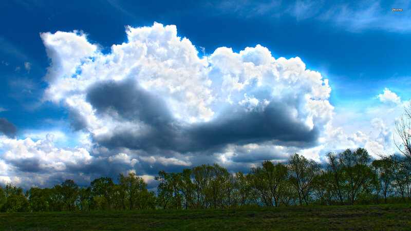Large Cloud over Trees