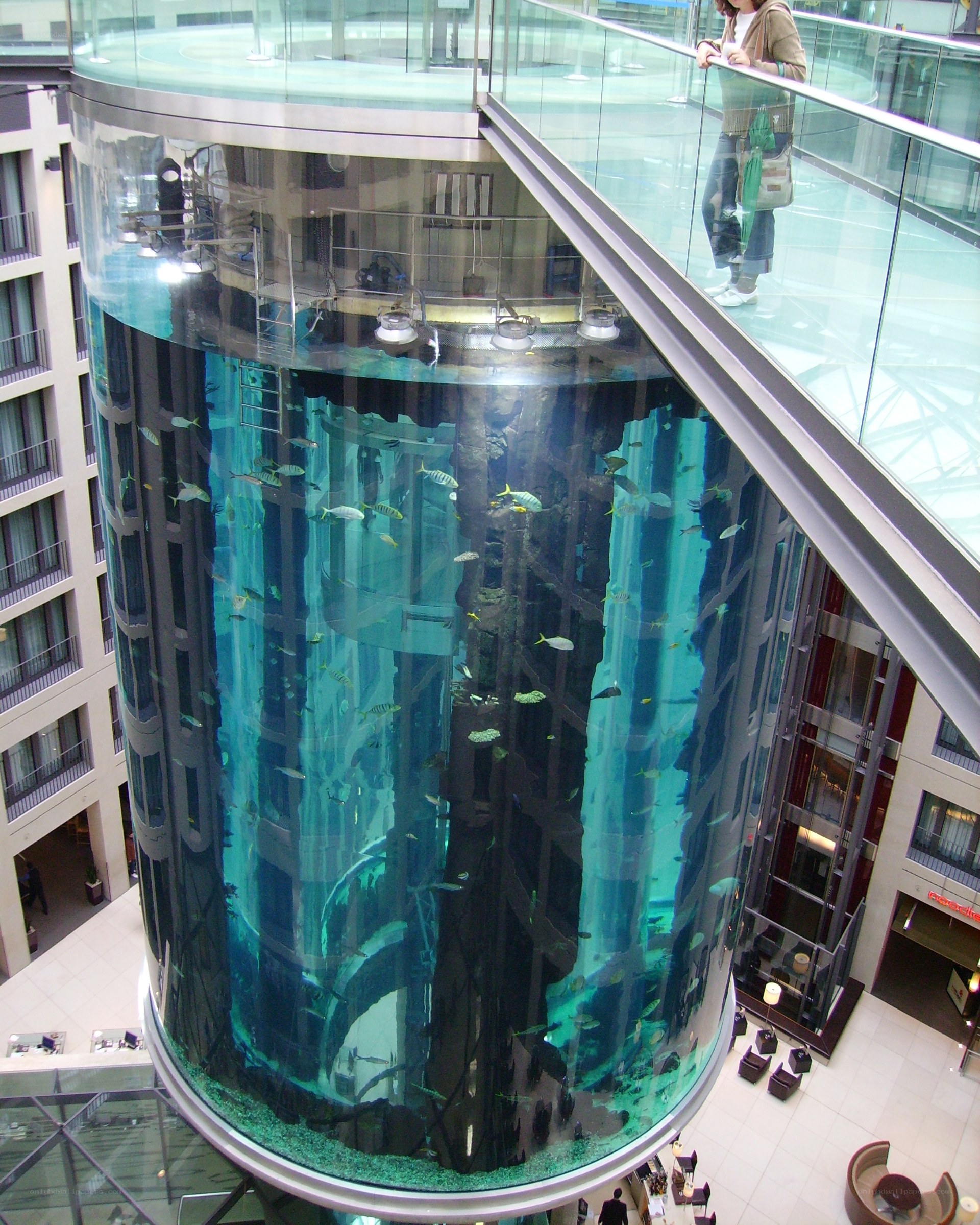 Large cylindrical aquarium in building