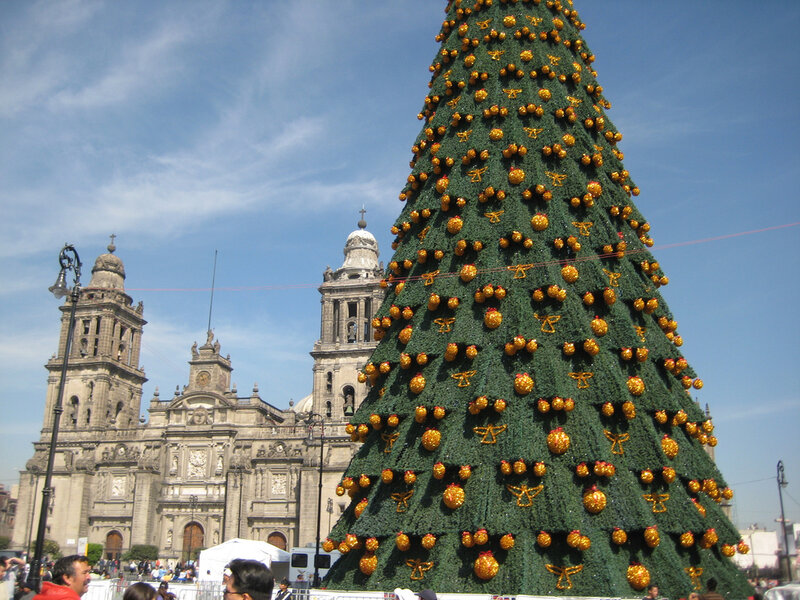 Large Decorated Christmas Tree — Green, Festive, Afternoon