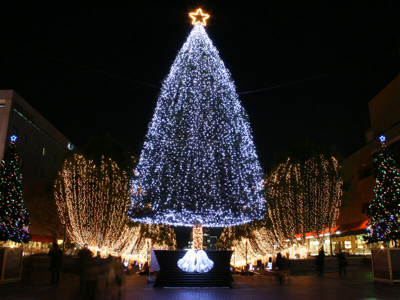 Large Decorated Christmas Tree