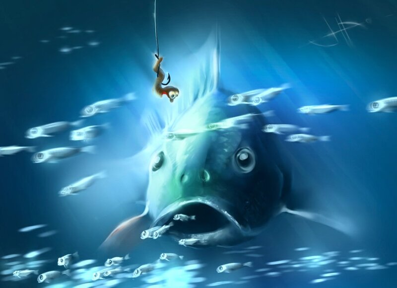 Large Fish Chasing Bait