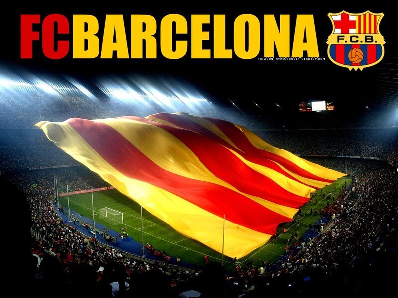 Large Flag in Stadium
