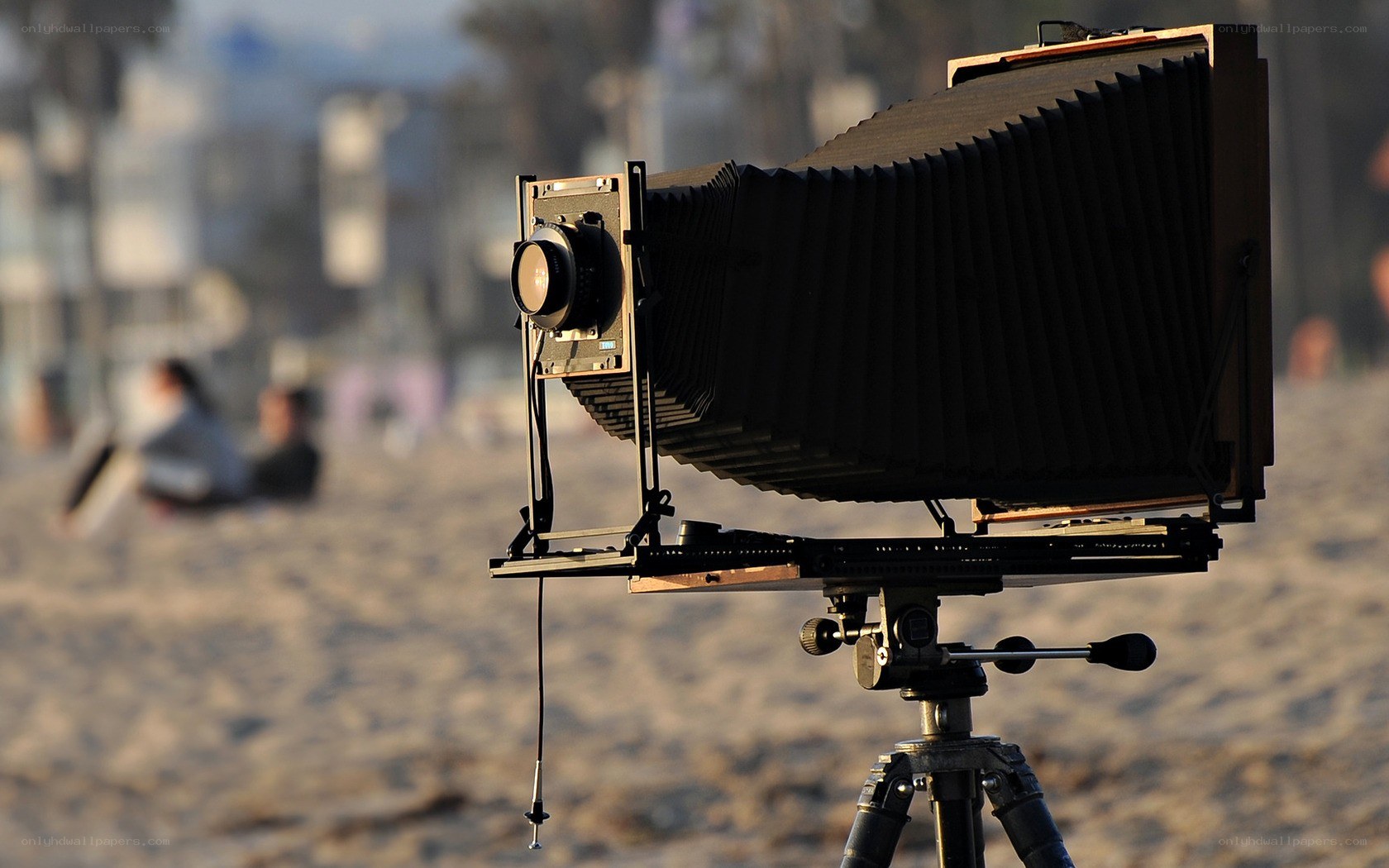 Large format camera on beach