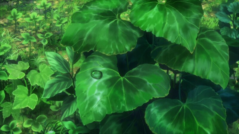 Large Green Leaves in Forest — Serene