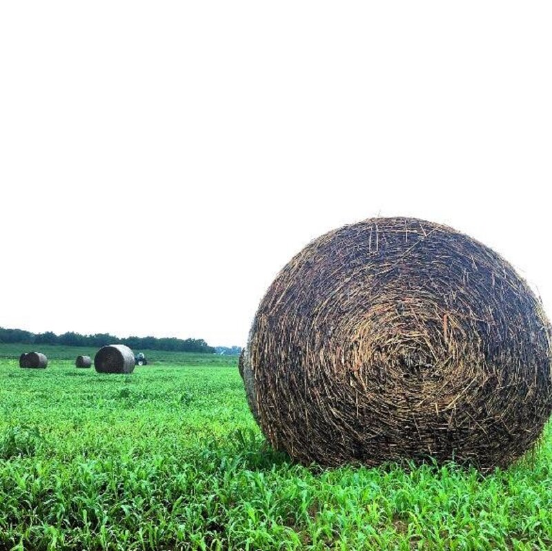 Large Hay Bale in Field