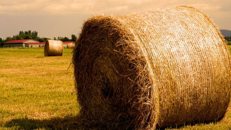 Large Hay Bale in Field — Yellow, Serene