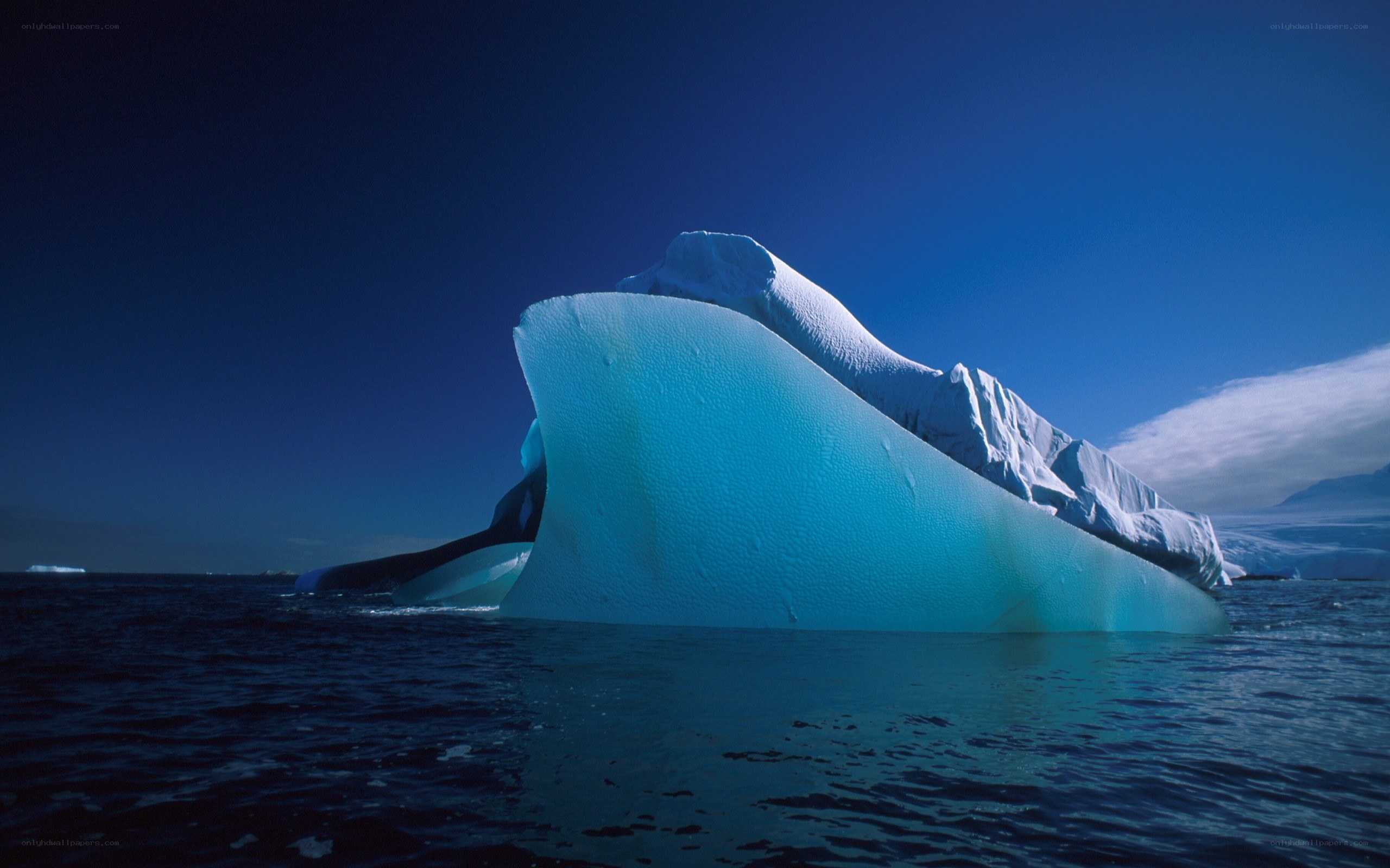 Large iceberg in blue water