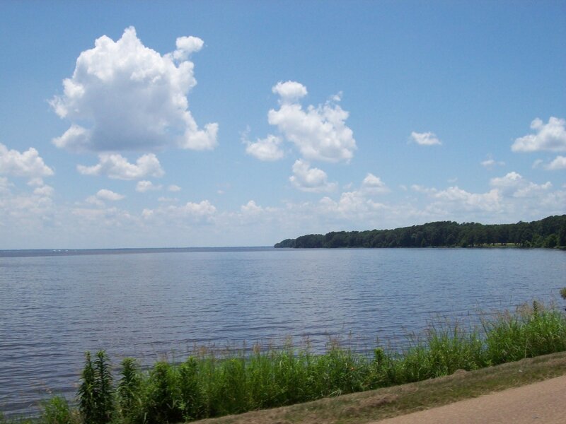 Large Lake with Trees