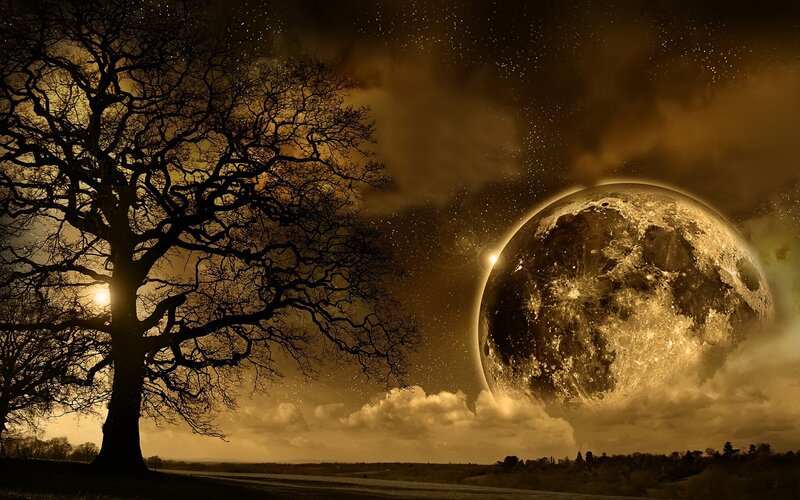 Large Moon in Night Sky