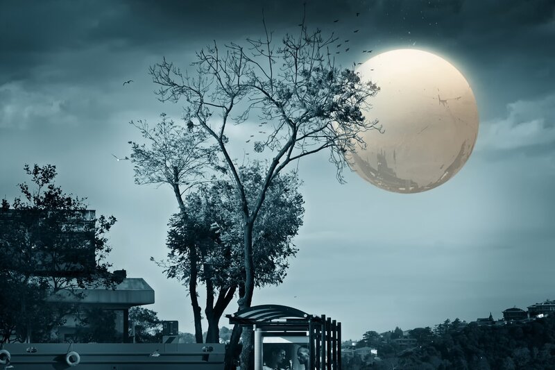 Large Moon over Trees