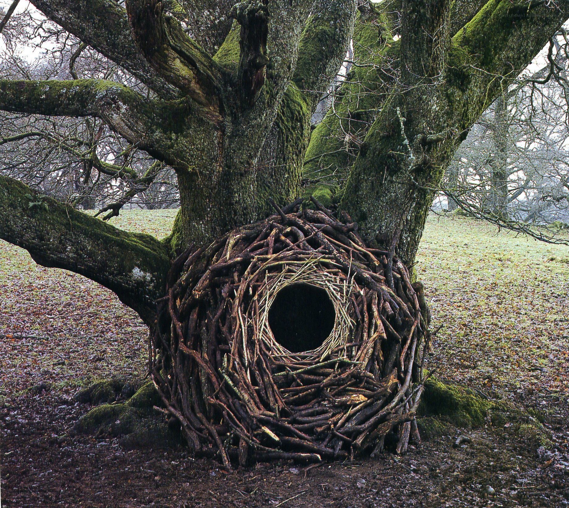Large nest sculpture in tree
