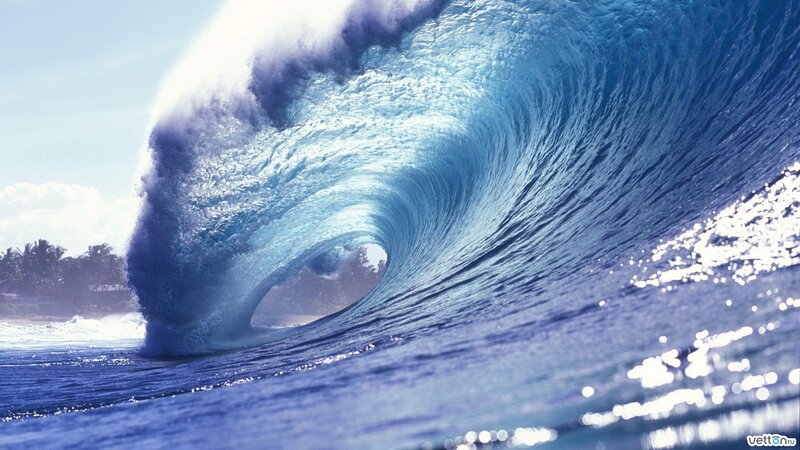 Large Ocean Wave — Blue, Dramatic, Afternoon, Photograph, Sky, Palm Trees