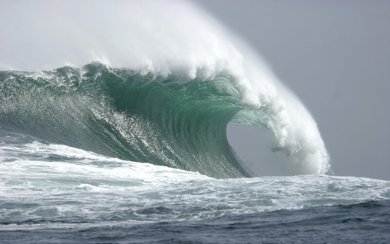 Large ocean wave forming barrel