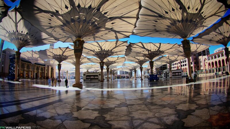 Large Outdoor Canopy Structure