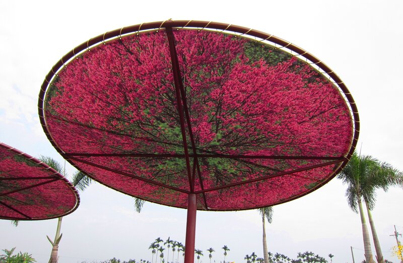 Large Pink Umbrellas