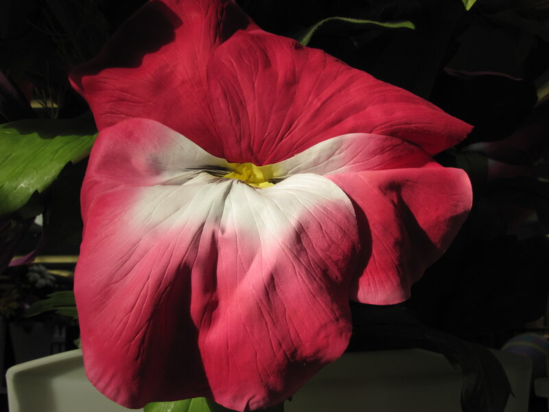 Large Red Flower