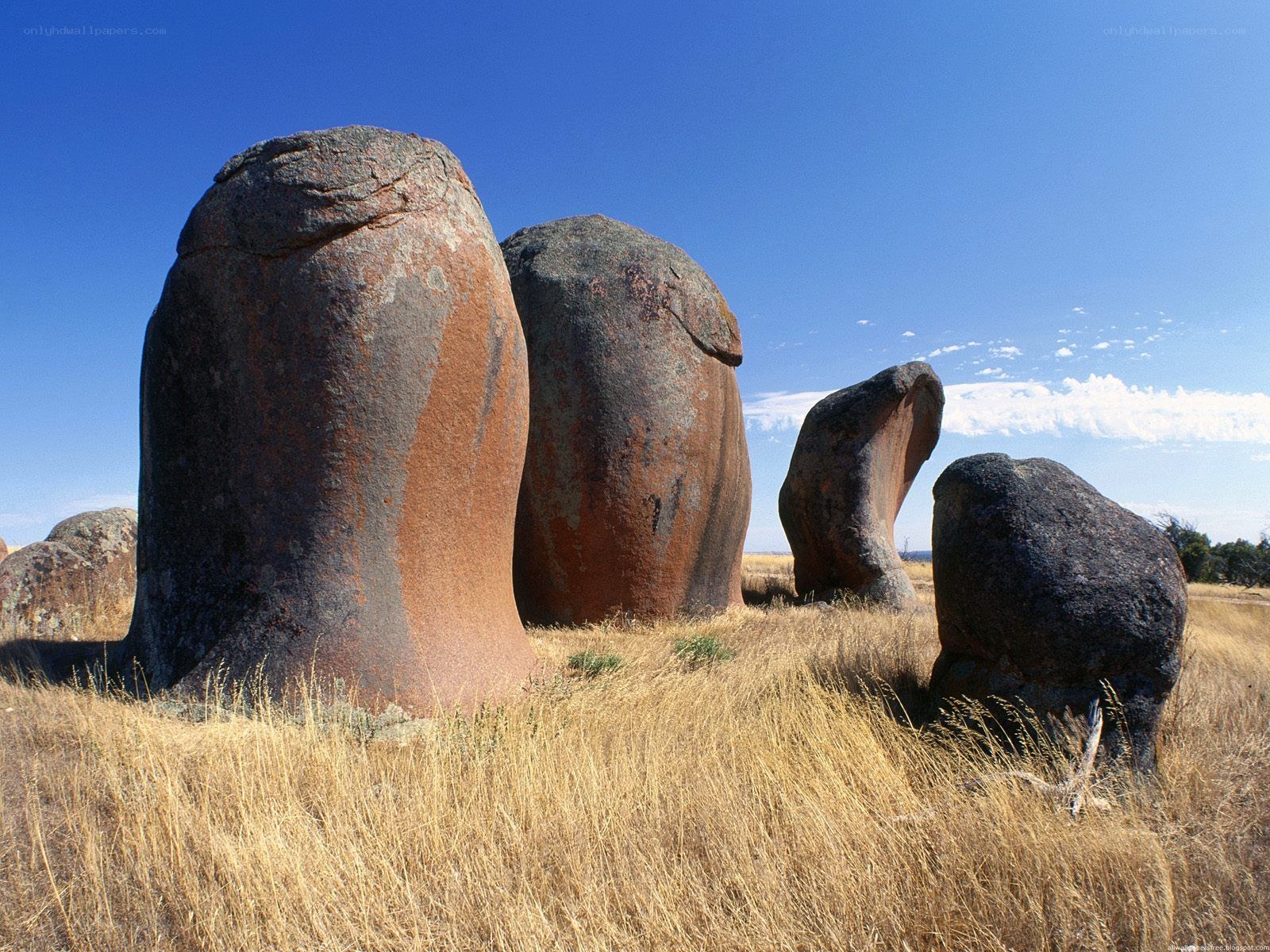 Large rock formations in grassland