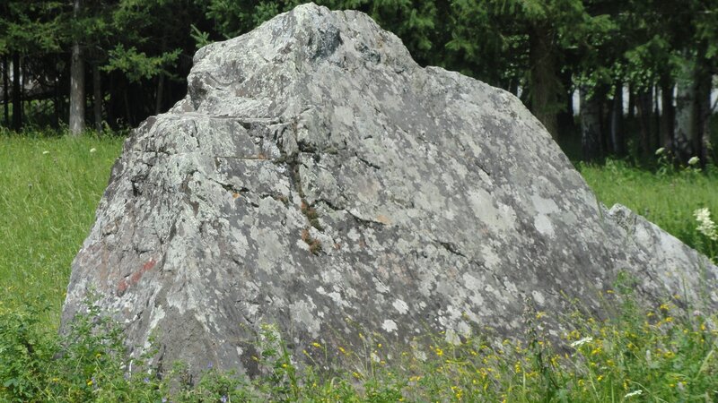 Large rock in a grassy field