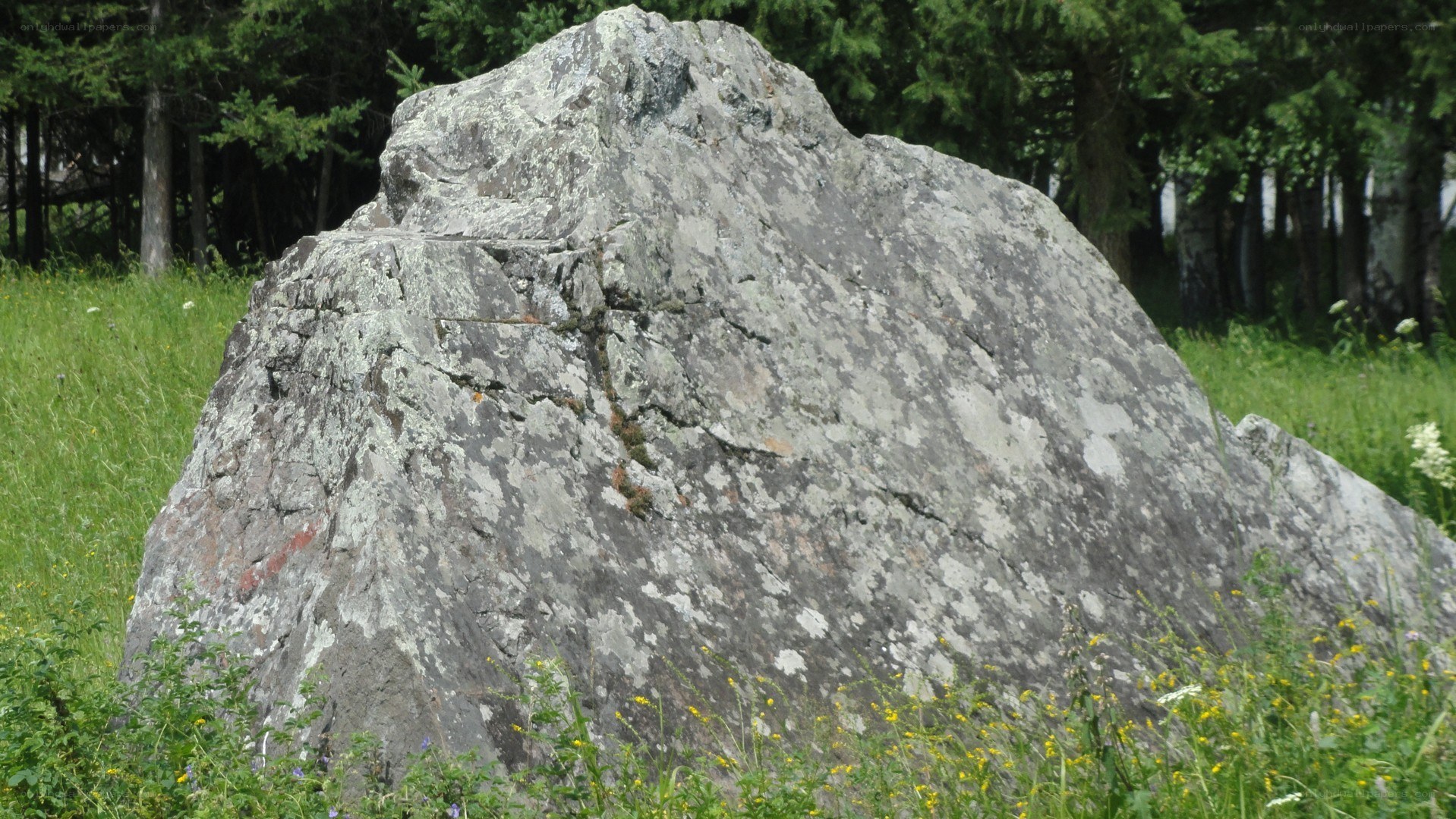 Large rock in a grassy field