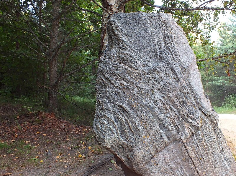 Large Rock in Forest — Gray